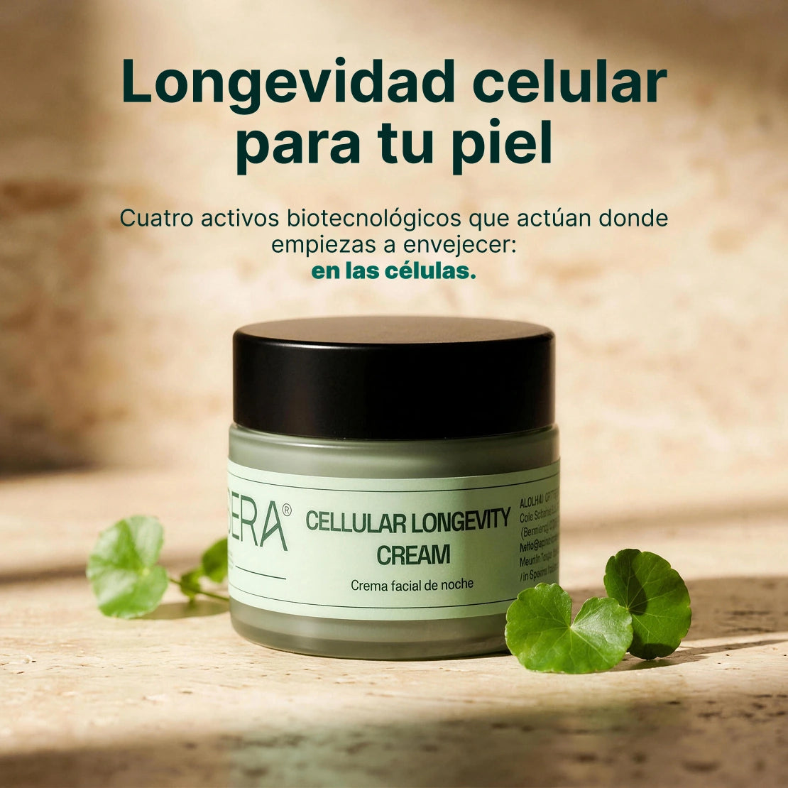Crema facial - Cellular Longevity Cream (50 ml)