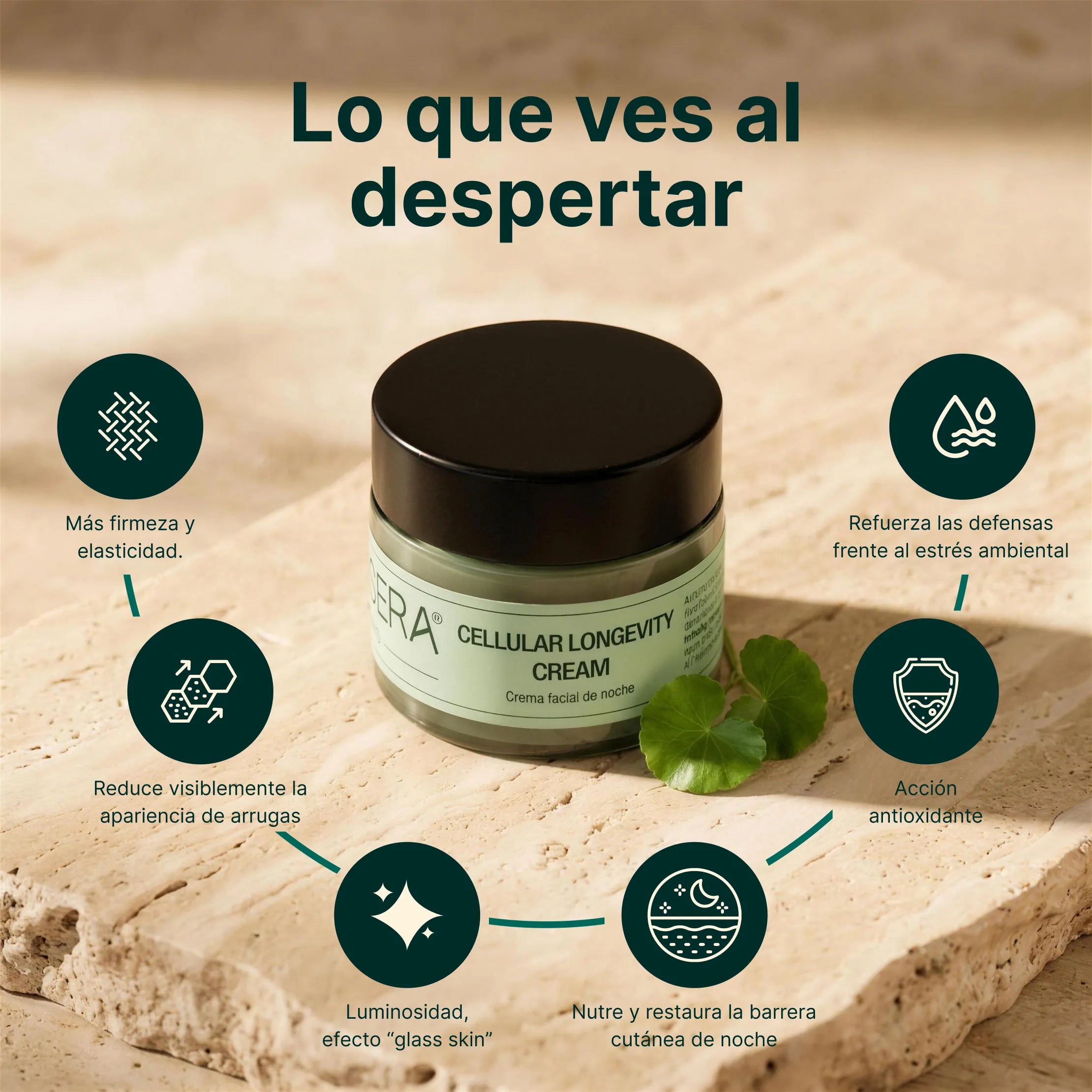 Crema facial - Cellular Longevity Cream (50 ml)