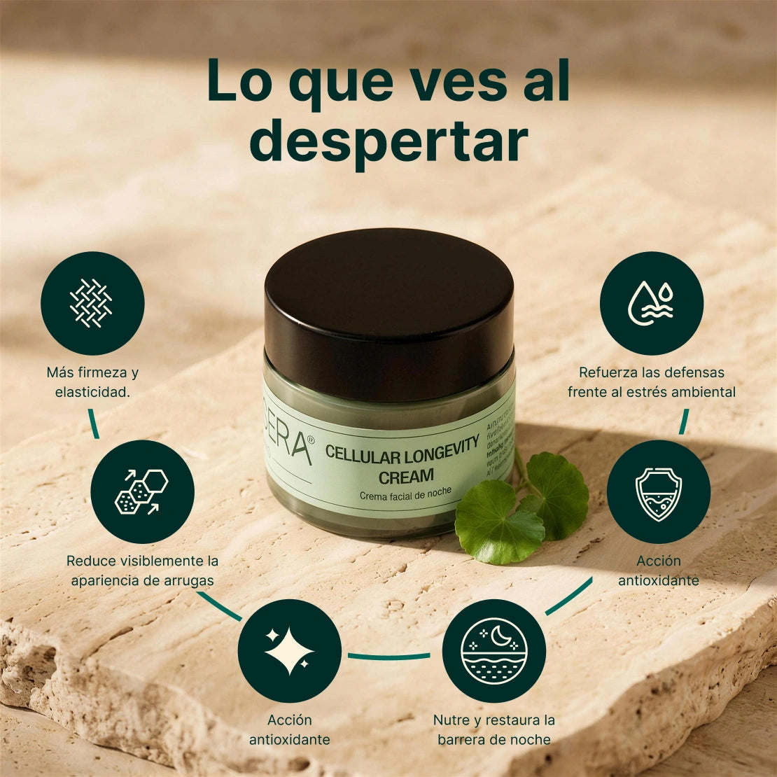 Crema facial - Cellular Longevity Cream (50 ml)