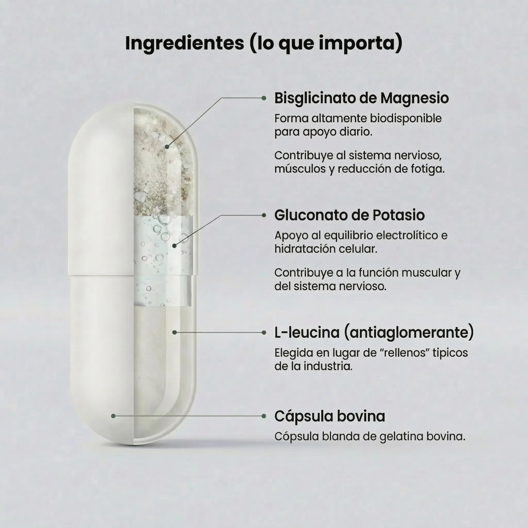 Magnesio + Potasio